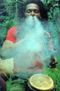 2026-02-17 Joli Dragon - Jah Light