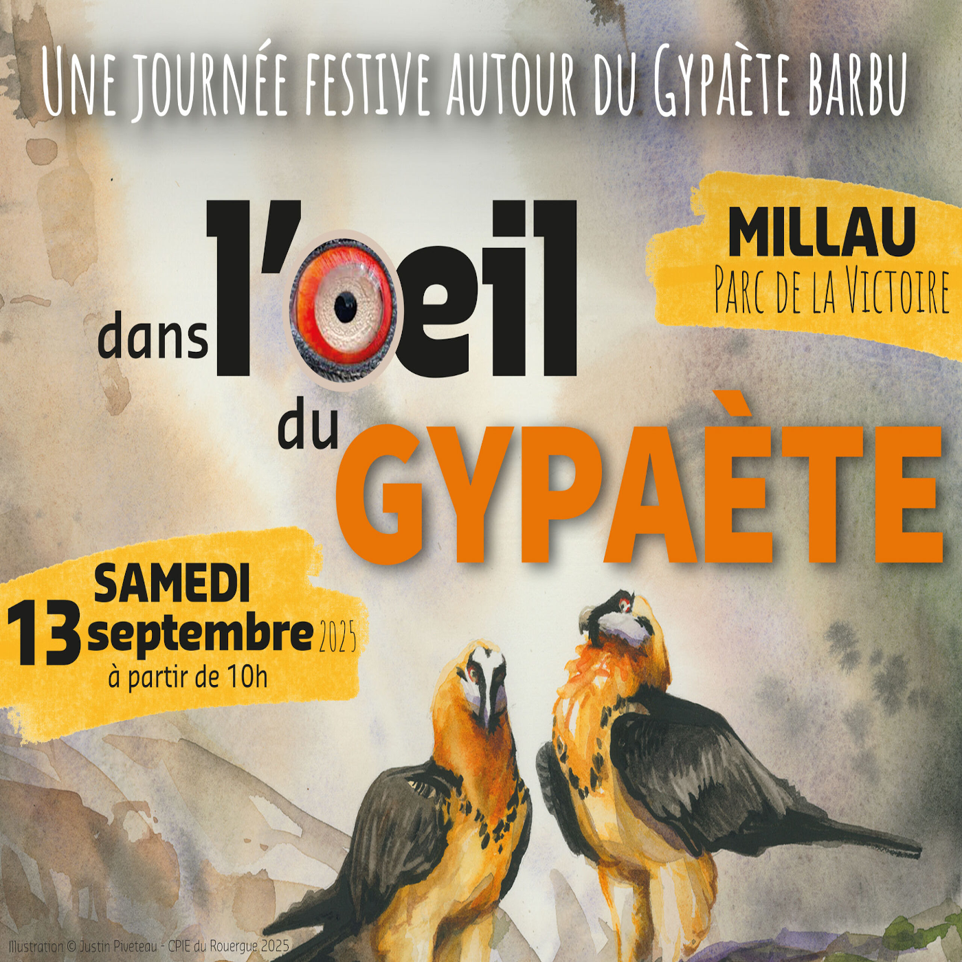 Table ronde « Dans l’œil du gypaète » episode artwork