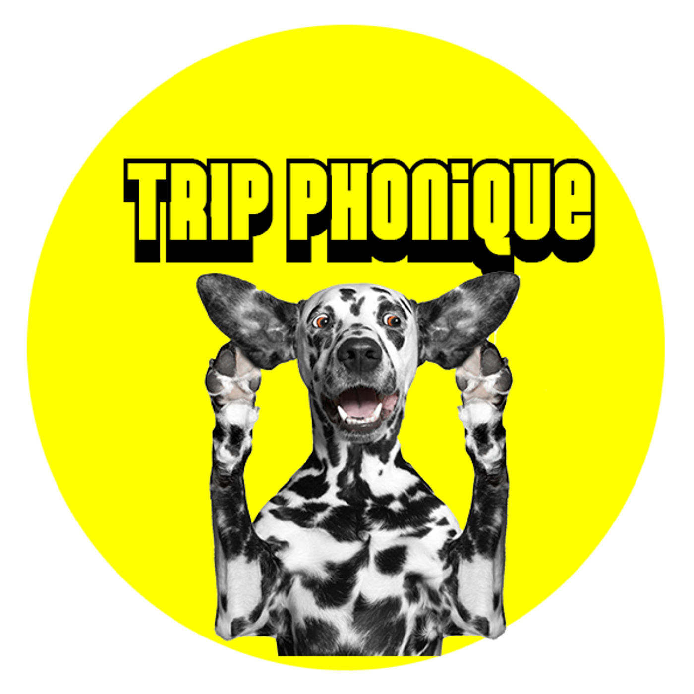 Le Trip Phonique podcast artwork