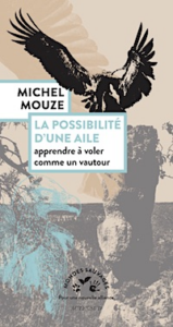 la possibilité d'une aile